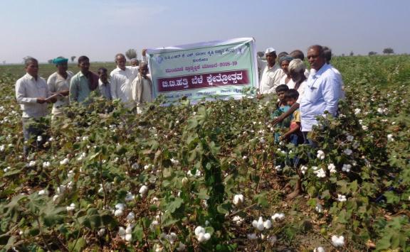 KVK Scientists briefed about the demonstrations, ICM practices, pest and disease management in Bt.Cotton.