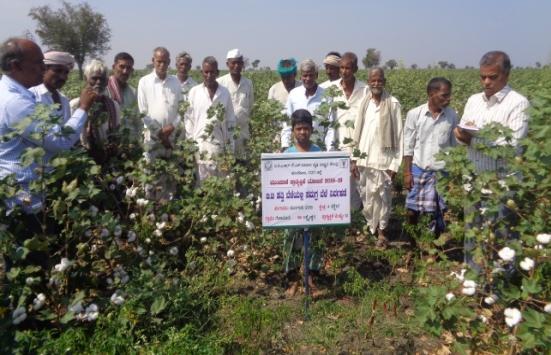 II) Field Day on Redgram Crop: The field day on Cluster Demonstration on Redgram under National Food Security Mission was