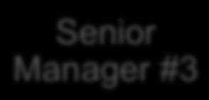 Anyone Can Provide Leadership Executive Senior Manager #1 Senior Manager #2 Director #1 Director #2 Administrator Assistant