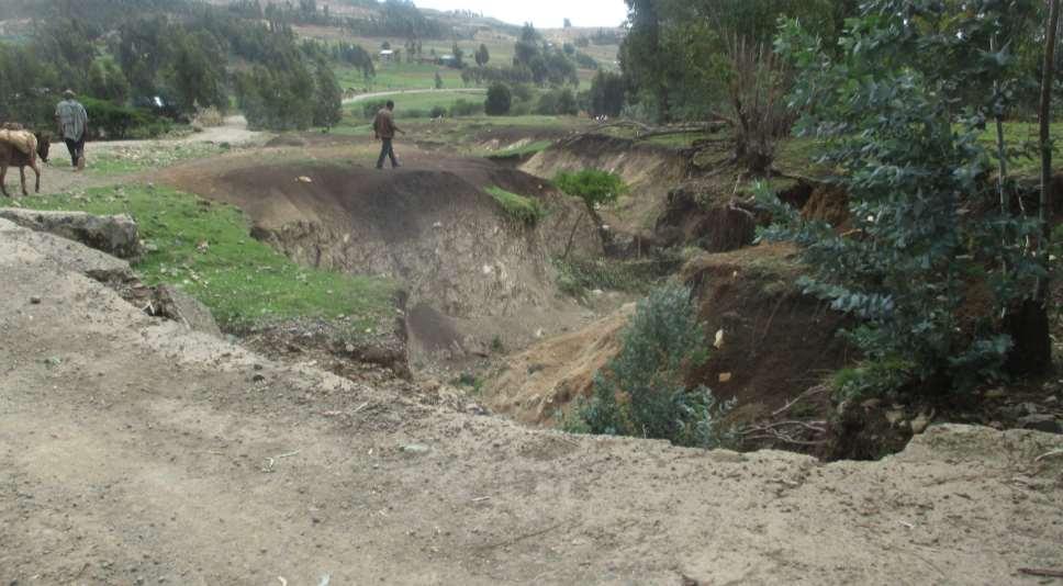 ROADS AS SOURCE OF SEDIMENTATION ADD TO THIS GULLIES CAUSED BY