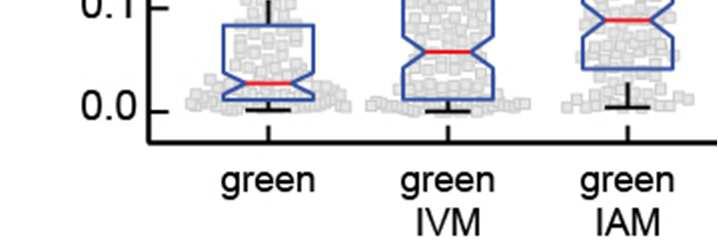 Figure S11. Comparison of dimerization for green cone opsin, green-iam and green-ivm.
