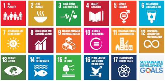 Development Goals OECD guidelines