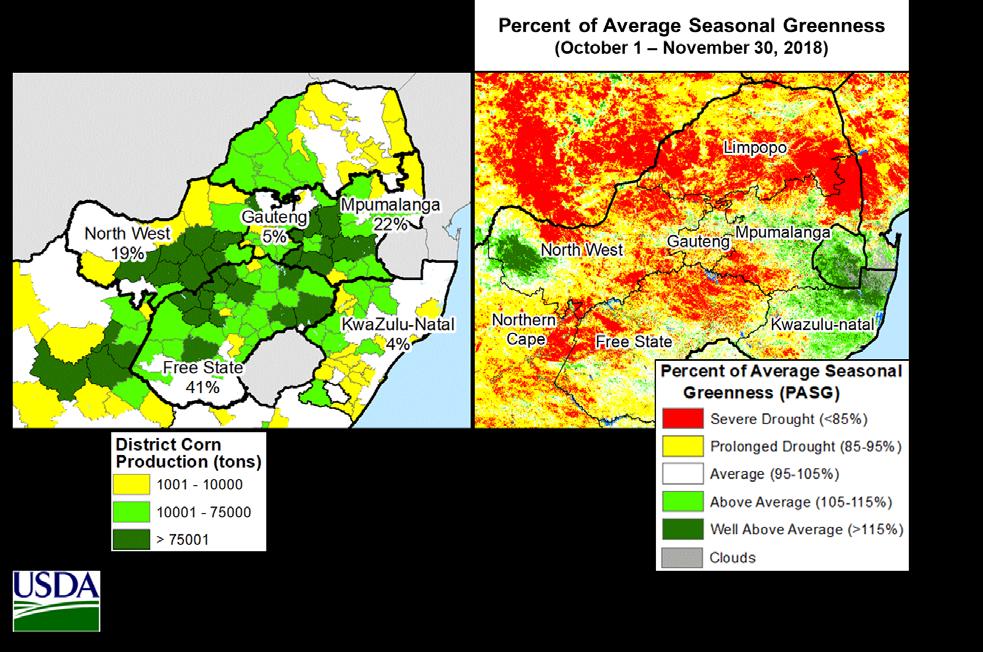 South Africa Corn: Planting Continues Under Drought Conditions South Africa s 2018/19 corn production is forecast at 12.