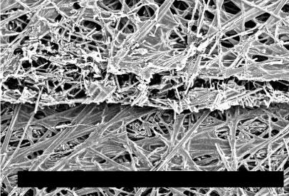 338 Part 3: Polymer electrolyte membrane fuel cells and systems (PEMFC) Acc.V Spot Magn Det WD Exp 200 µm 22.5 kv 4.0 100x SE 8.1 1 Figure 1. SEM picture of a carbon-paper gas diffusion medium.
