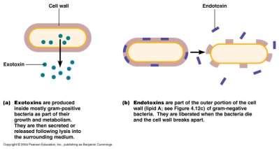 (C) Bacterial toxins: Exotoxin Endotoxin Diffusibility Diffusible Cell bounded Antigenicity Strong Weak Toxicity High Low Specificity Specific action on Non specific cells