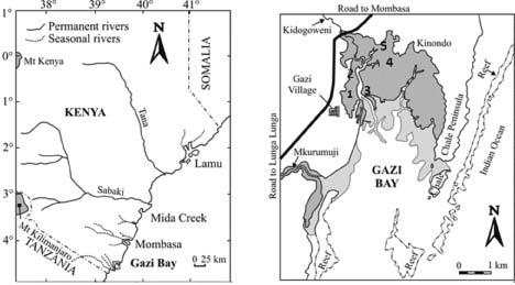 Spatial & Temporal Regeneration dynamics in Ceriops Tagal Mangrove Forests in Kenya 7 Fig.. Map of Gazi Bay showing the study locations as: and = Western creek C. tagal natural stands, 3 = C.