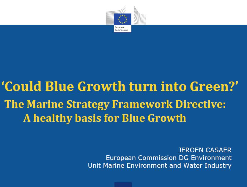 The European Union Directorate-General for the Environment Blue Growth Green Growth Blue growth an initiative to harness the untapped potential of Europe's oceans, seas and coasts for jobs and growth.