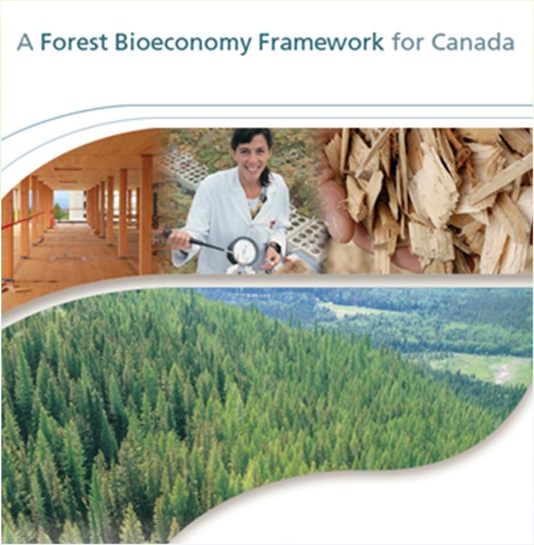 CCFM Forest Bioeconomy