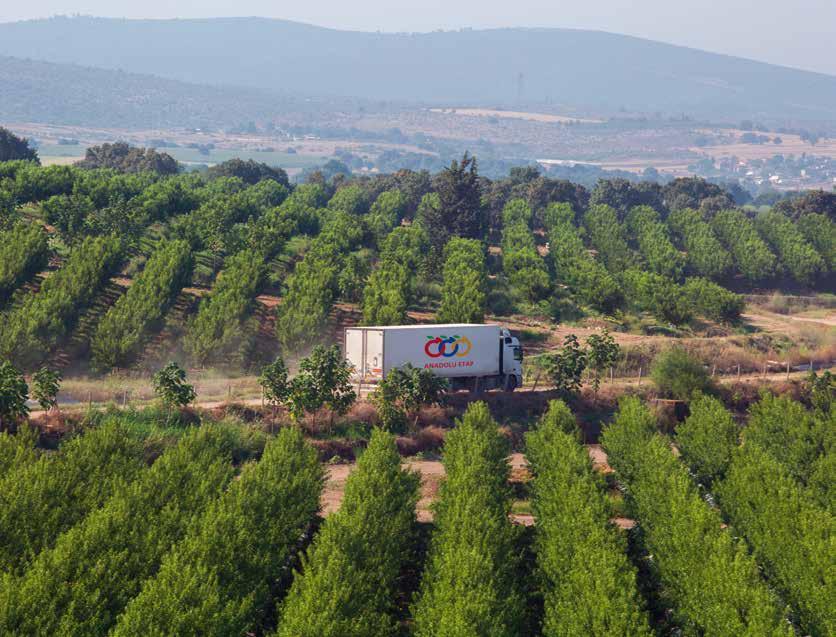 Anadolu Etap targets to become one of the leading fruit companies of Europe and to grow healthy