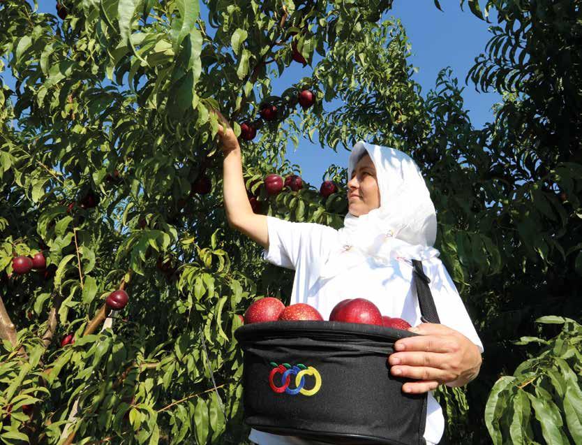 Anadolu Etap established a training center called AgroAcademy in 2012 to increase the standards in fruit growing and to provide sustainability.
