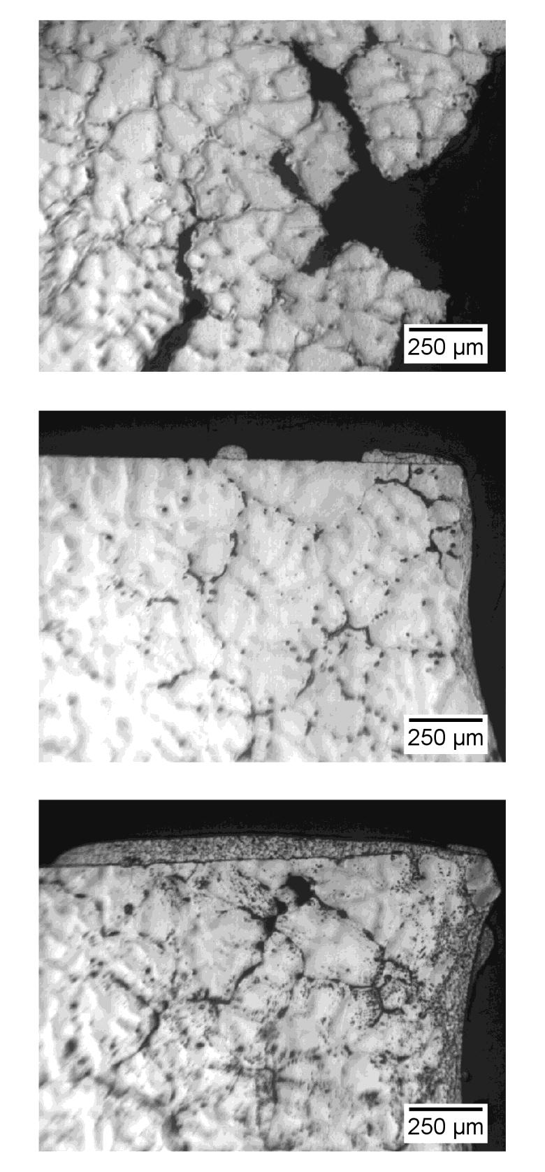 Fig. 4: Optical micrographs of as-cast AZ31 tensile