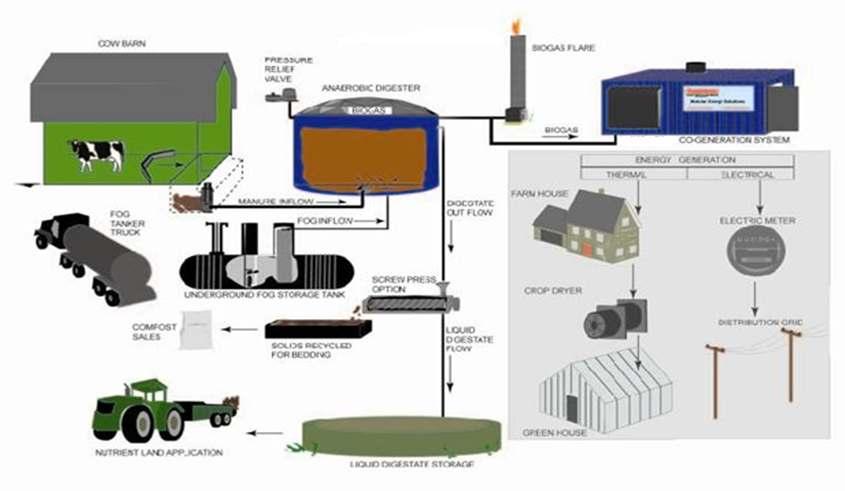 Biomass to Biogas Source: