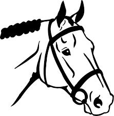 Are you interested in Learning More about Horses? Extension offices in the area are sponsoring the Master Horse Owner program this fall.