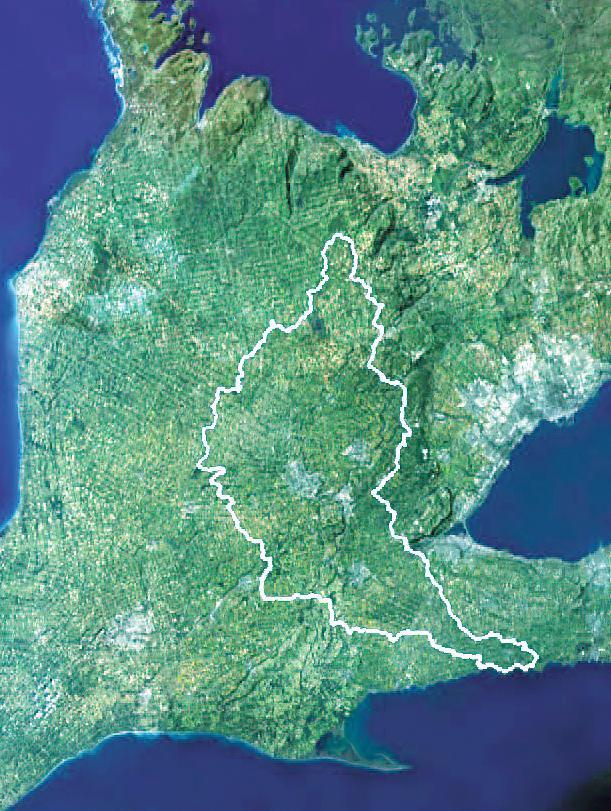 Economic Valuation: Grand River Watershed 6,800 km 2, larger than PEI Approx.