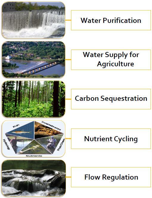 $$$$ 5 ecosystem services 1 : $200 million per year Waterloo Region (Canada s Technology Triangle): GDP (2009): $19.