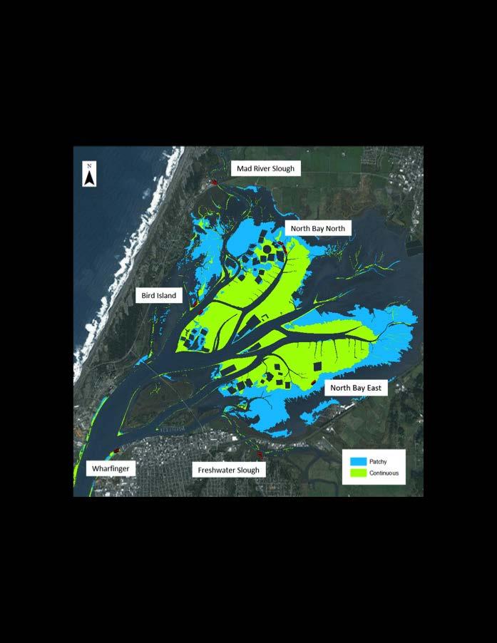 Upwelling and OA Project Focus: Water carbon chemistry analysis Eelgrass