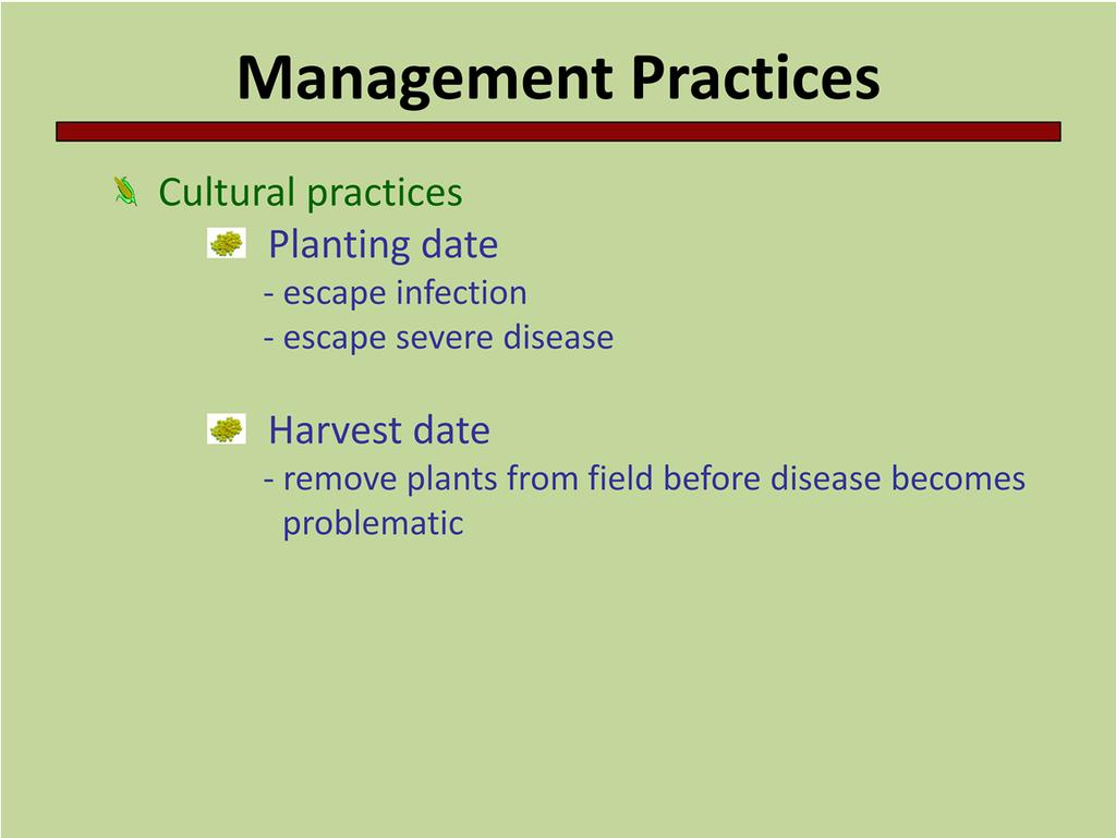 Other cultural practices that can be used to manage disease include planting and harvest dates. Delaying planting date may allow the crop to escape infection and therefore avoid severe disease, e.g., corn seedling blights (page 42, Corn Field Guide).