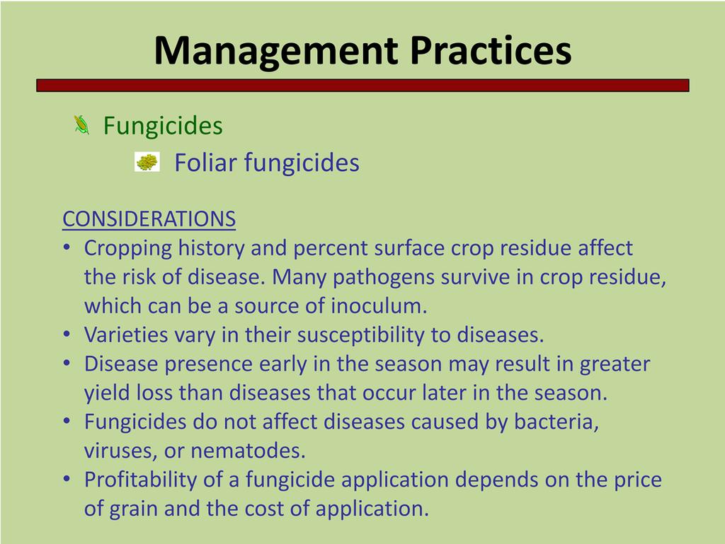 Before using a foliar fungicide, there are several factors that need to be taken into consideration. First of all what is the risk of disease?