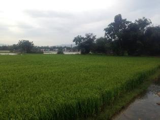 The works of (1) embankment of La Tinh river section from Vinh Thanh village to Thai Phu village, (7) Thu Tinh embankment and (14) Kon river embankment, section in Lai Nghi village have navigation
