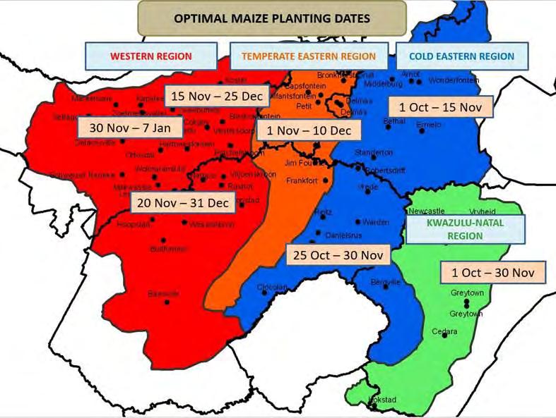 Optimal Maize Planting Window January 7 th is optimal planting cut-off date. Data Source: Optimal Maize Planting Window; https://twitter.