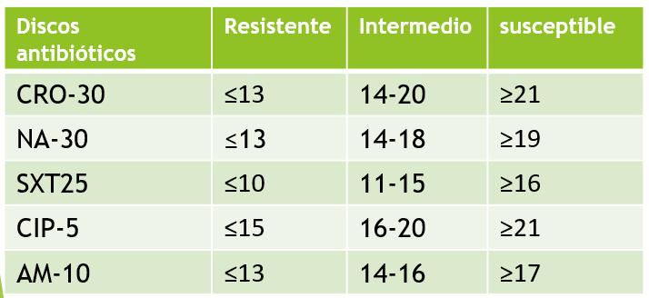 RESULTS AND DISCUSSION ANTIMICROBIAL SUSCEPTIBILITY CRO-30 (Ceftriaxone 30 μg) Diameter: 35 mm susceptible NA-30 (Nalidixic acid) Diameter: 28 mm susceptible SXT25