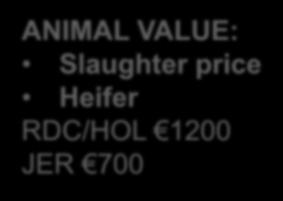 Slaughter price