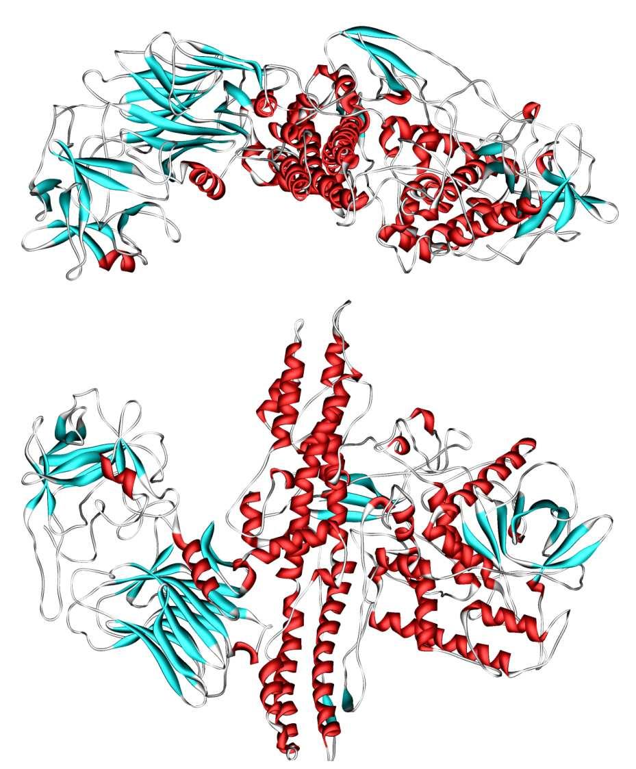 1 pm (10-12 M) Botulinum toxin Protein produced by the anaerobic bacteria Clostridium