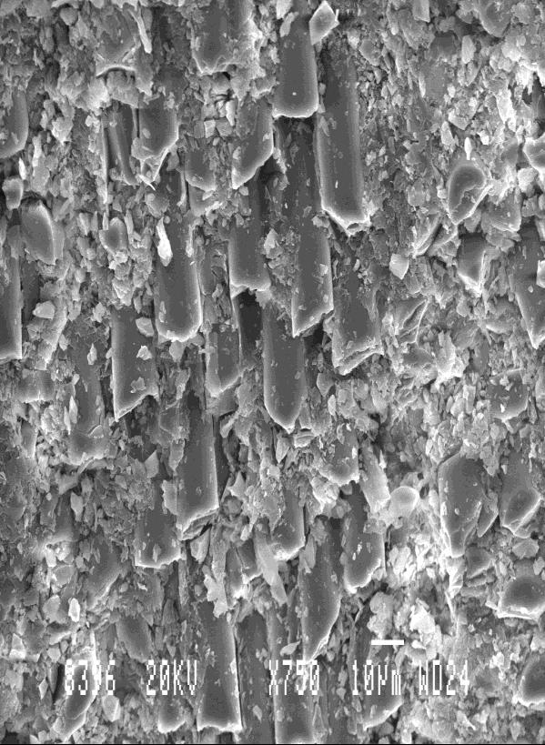 5 Surface Morphology of Drilled Holes The SEM micrographs show the breakage of the fiber material and damage of the matrix material. Figure 5.