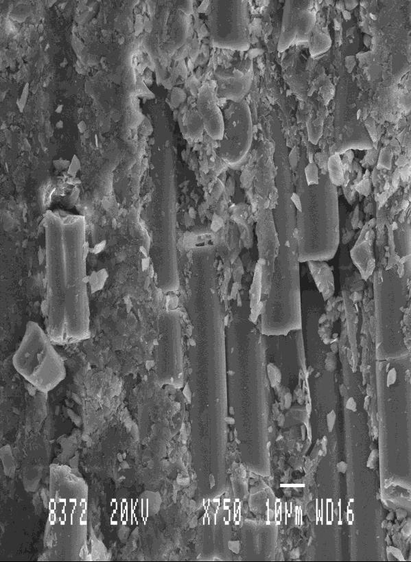 (a)  The SEM micrographs show the breakage of the fiber material and damage of