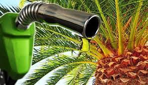 Indeks Plantation Area for Biofuels The raw materials of first generation biofuels derived from vegetable oils.