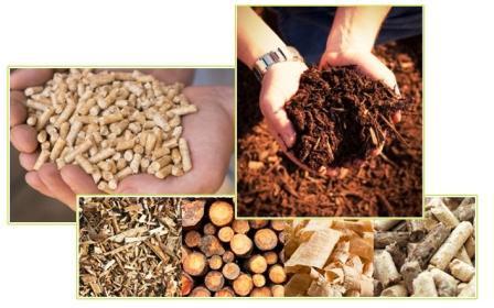 Pemanfaatan Limbah Biomassa Kehutanan Biomass waste can be utilized for alternative energy sources.
