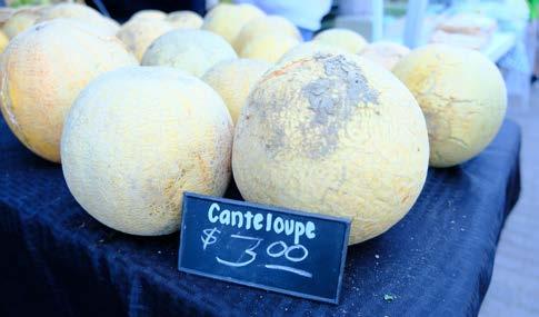 Cantaloupe (each) 6 5 5 5 5 5 5 5 Price ($/each).5.5.5.5 1 1 1 1.5 1.5 4 4.