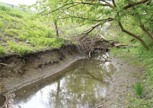 Scour downstream of culvert with exposed concrete footing