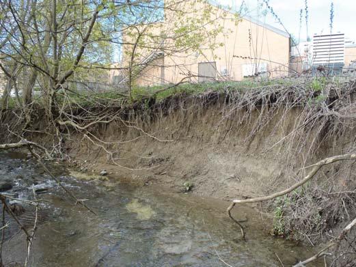 Tannery Creek 33 OTHER MANAGEMENT ISSUES: where stream systems may