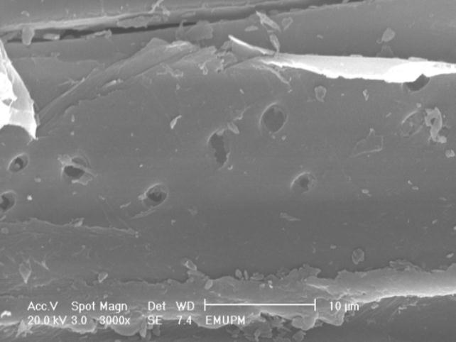 HMTH pretreated kenaf core V36 under SEM at 3000X magnification The chemical composition of the pretreated kenaf core material varied among different particle sizes and pretreatment applied.