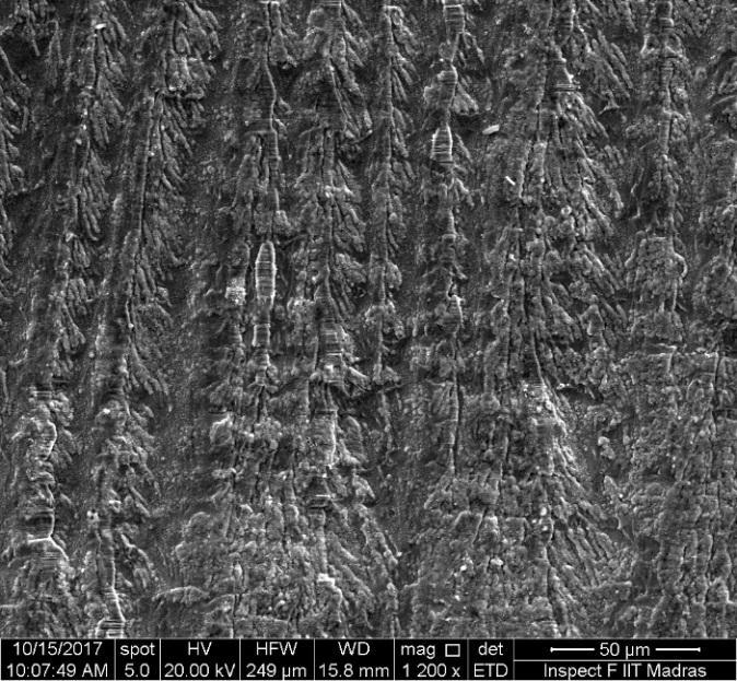Figures 11 and 12 present the SEM image where the fatigue striations can be seen all along the fracture surface.
