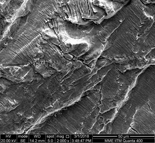 It can further be observed from these SEM images that there is tear ridges between the planes containing striations that run parallel to the direction of crack.