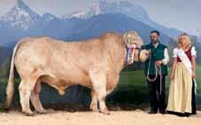 at Special Breeds The association ÖNGENE (the Austrian Association for the Conservation of Genetic Reserves), along with the Austrian states and Ministry of Agriculture has