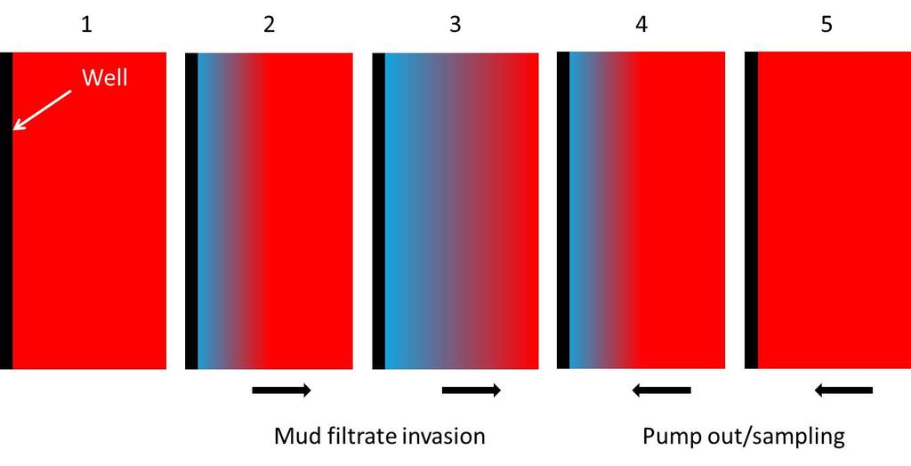 Figure 1 Schematic diagram showing mud filtrate contamination of formation water and collection of MDT samples (mud filtrate = blue, formation water = red).