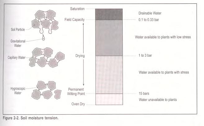 Irrigation Scheduling Components Plant Growth Stage and Water Use Soil Water Holding Capacity Evaporative Demand Rainfall / Irrigation Soil Water Holding Capacity Soil act as a reservoir to hold