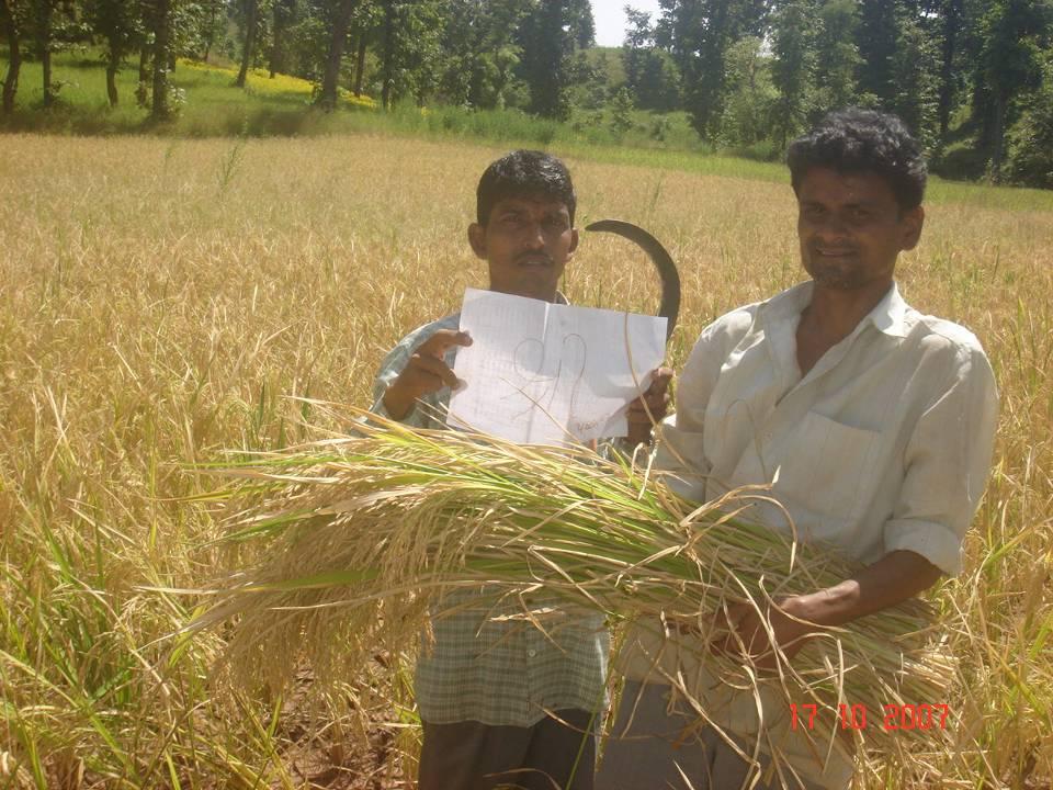 Promotion of System of Rice Intensification (SRI) in Rainfed Rice Cultivation among the Farmers of Dangs District of