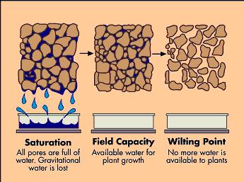 the soil water -
