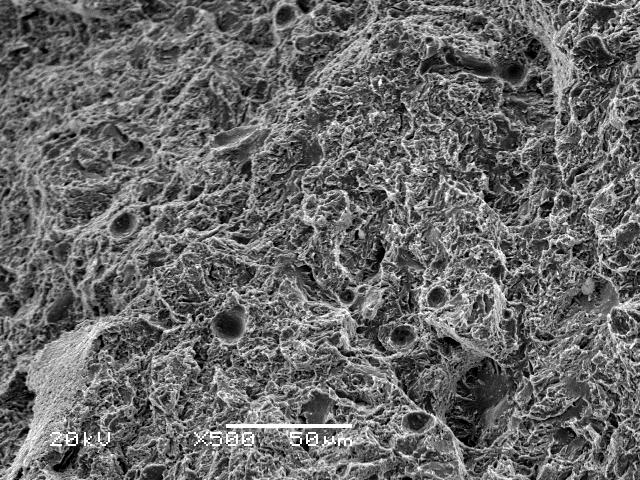 Single-phase austenitic grain growth is clearly, the resulting microstructure after quenching will become bulky[9].