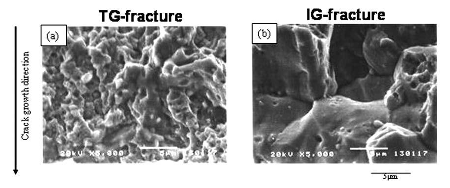 Fig. 12 Source location of AE signals detected in K-increasing test. Fig. 13 SEM of fracture surface. (a) K max of 4 MPa m. (b) K max of 13 MPa m.
