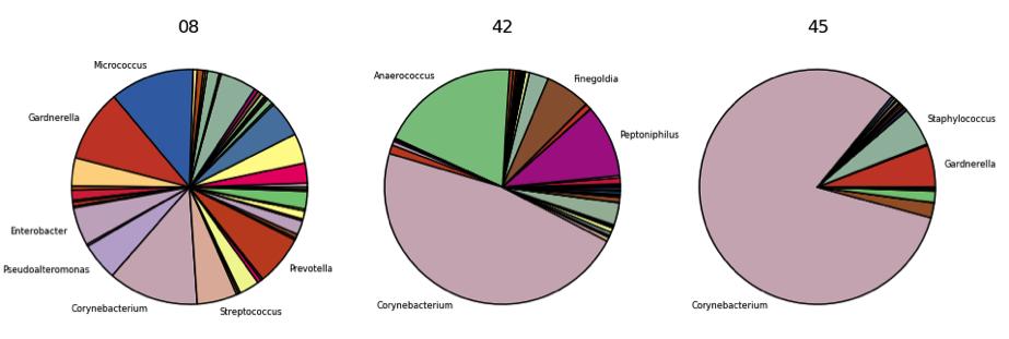 Figure 3. Example pie chart figures show bacterial composition at the genus level of three random samples from a bacterial vaginosis study analyzed using the framework.