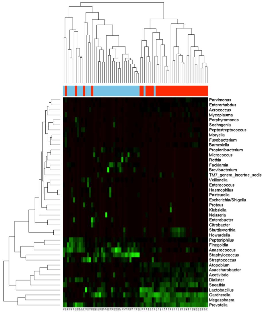 Figure 6. Example heatmap generated by the framework showing how a subset of samples clustered based on their microbial flora at the genus level.