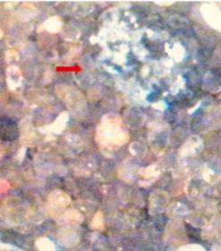 Microscopic Image of the matrix blockage material 2014 Bilfinger Water Technologies.