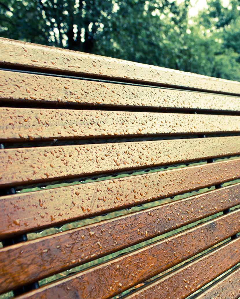 Betek Wood Care Varnished Protects
