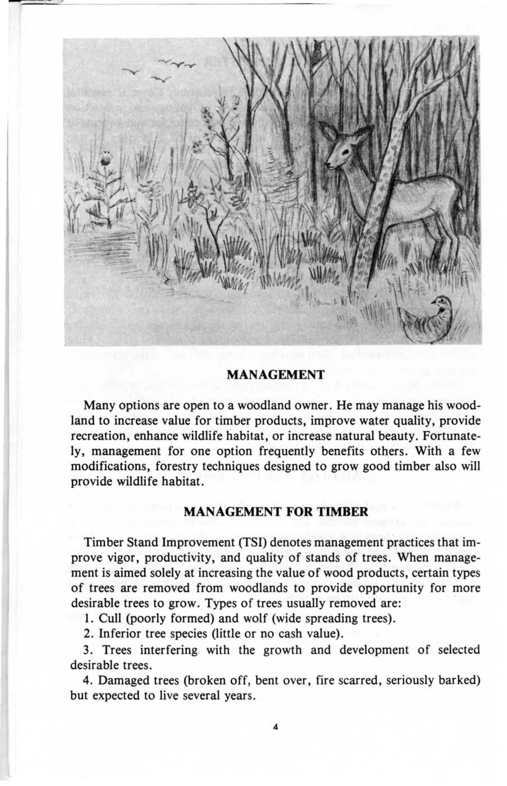 MANAGEMENT Many options are open to a woodland owner.