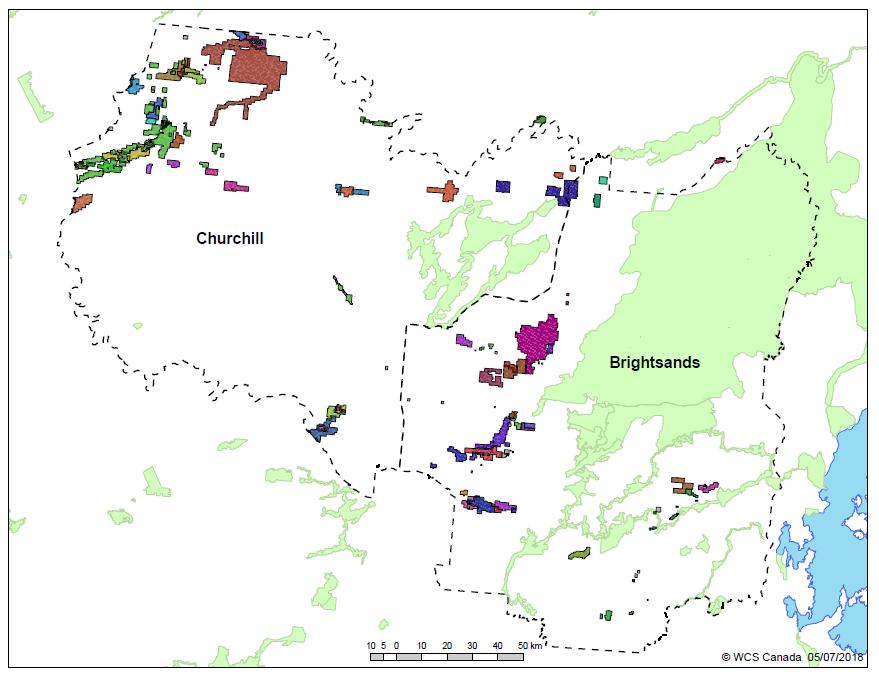Figure A2: Mining cell claims in the Brightsand and Churchill Caribou Ranges (current as of June